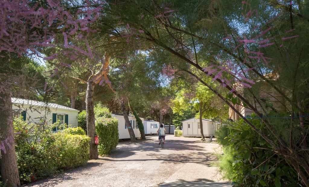Camping Le Suroit Le Bois-Plage-en-Ré Exteriér fotografie